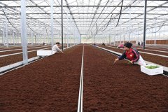 代中国调研行之看区域·西部篇丨这里的