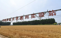 立冬地寒水冷冬气始水饺一碗