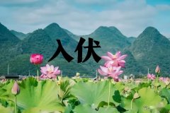 “旱不旱就看六月初十”明日六月初十入