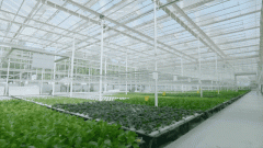 <b>2025年地方一号文件即将发布！文件内容抢</b>