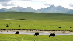 青藏高原对寒潮的影响有哪些 寒潮的次要