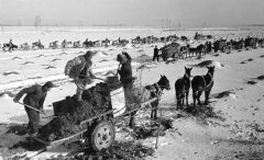 平板车、拖沓机、无人机：三代人的春耕