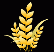 峰韵龙井农科馆：四时农耕探秘铸就学问