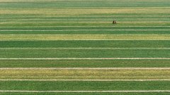 犁翻千层浪 人勤地不懒——从春耕一线看