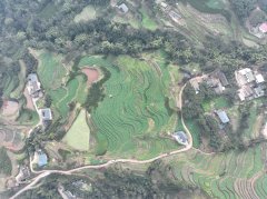 <b>屏山县：农业无人机让山地农业“飞”起</b>