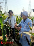 海南财产的三“度”空间