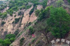 甘肃煤地步质局分析普查队实施的宁县某